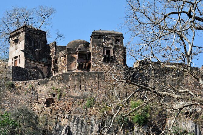 03 Days Private Ranthambore Wildlife Safari Tour From Delhi - Final Thoughts