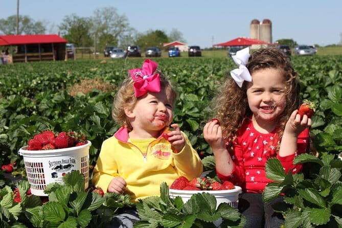 04 Days Tour - Sigiriya , Kandy and Nuwara Eliya - A Closer Look at the 4-Day Itinerary