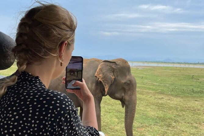 04 Hours Safari Jeep Tours - Exploring Udawalawas Wildlife with the 4-Hour Safari Jeep Tour