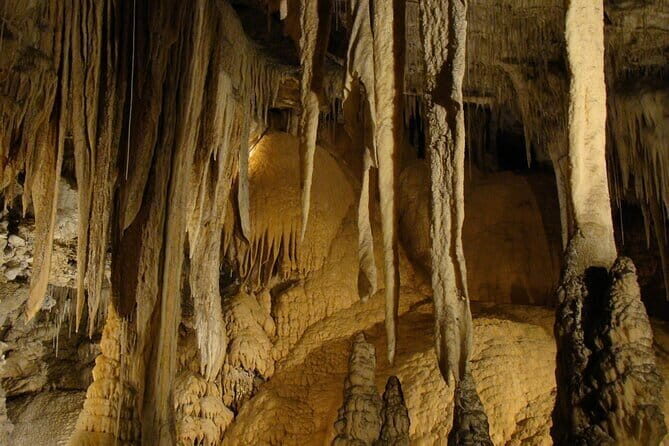 06 Nights 07 Days - Sri Lanka Private Tour - Why This Tour Offers Excellent Value