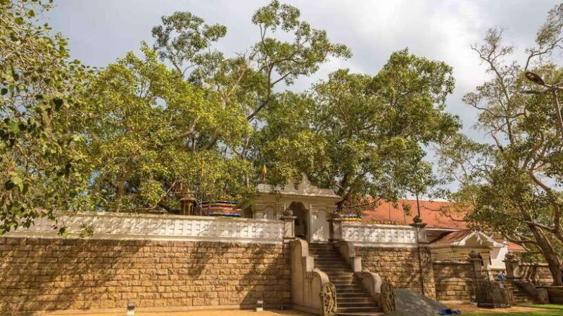09 Days Heritage Trails of Sri Lanka - Key Points