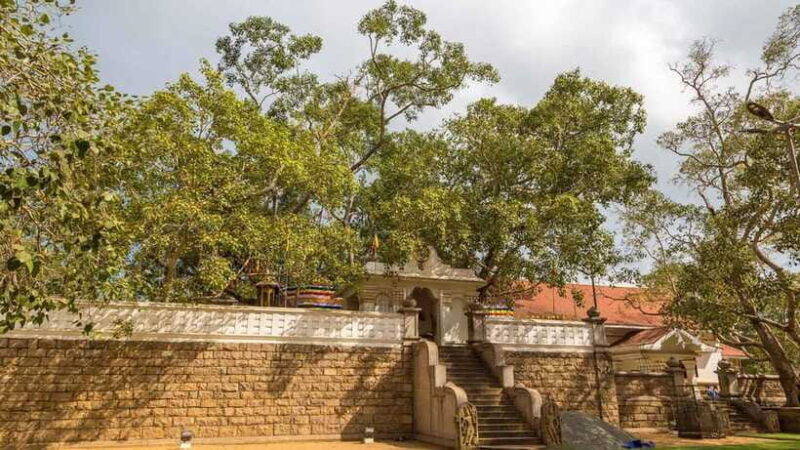09 Days Heritage Trails of Sri Lanka - Dambulla’s Golden Cave Temple and Kandy’s Temple of the Tooth