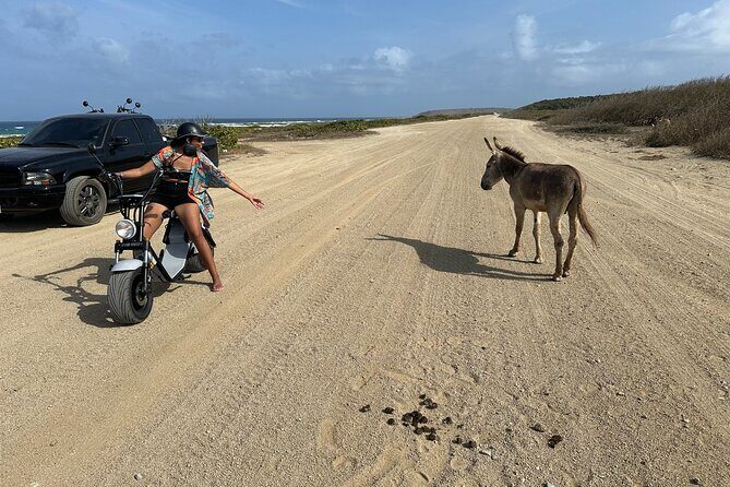1/2 Day (4 hour) Electric Scooter Rental in Aruba - Why Choose This Electric Scooter Rental?