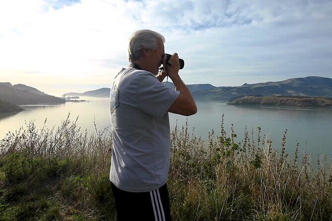1/2-day Christchurch Scenic Highlights (Private Tour) - The Sum Up