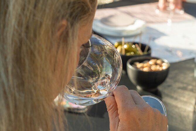 1/2 day, private wine tour, van from Saint Tropez - An In-Depth Look at the Saint Tropez Wine Tour Experience