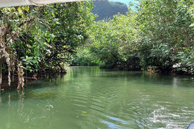 1/2 day "Treasures of Raiatea" by boat - ideal for cruise passengers - Discovering Raiatea in Half a Day: The Treasures of Raiatea Boat Tour
