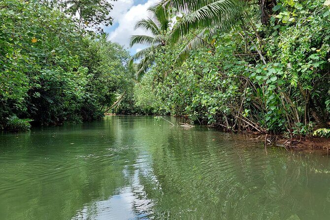 1/2 day "Treasures of Raiatea" by boat - ideal for cruise passengers - Who Will Love This Tour?