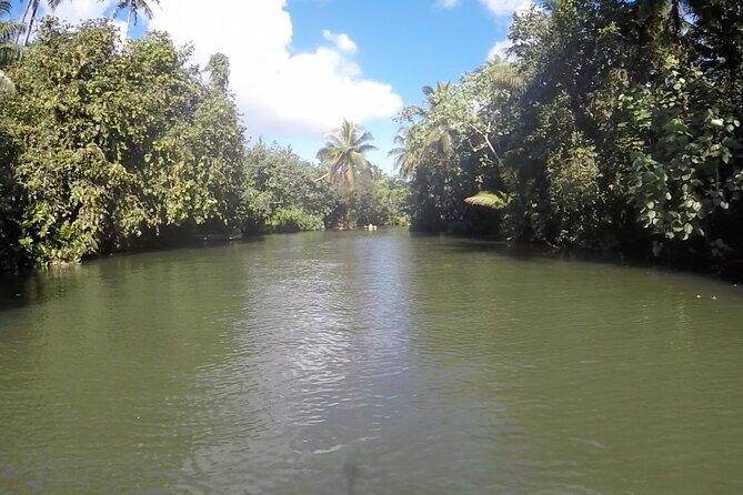 1/2 day "Treasures of Raiatea" by boat - ideal for cruise passengers - The Sum Up