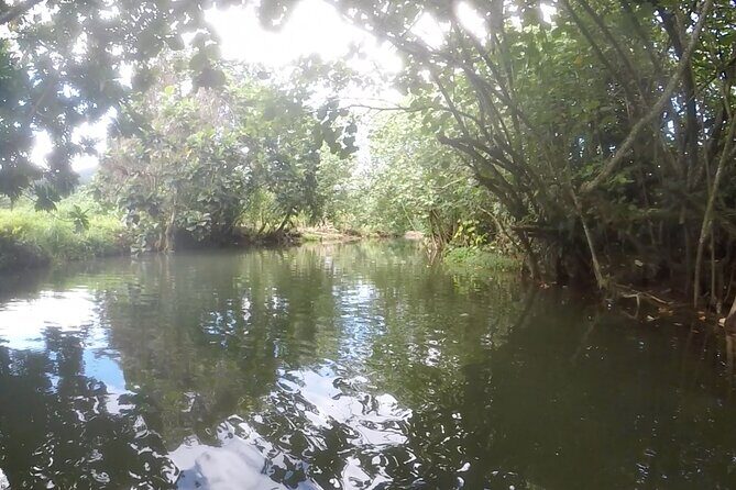 1/2 day "Treasures of Raiatea" by boat - ideal for cruise passengers - Frequently Asked Questions