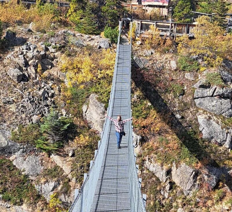 1/2 Day Yukon and Suspension Bridge Adventure - Who Is This Tour Best For?