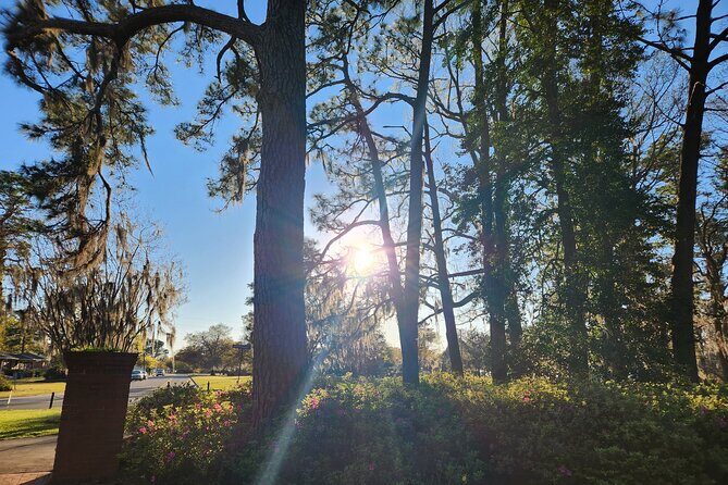 1.25-Hour Wilmington E-Bike Sunset Ride - Final Thoughts