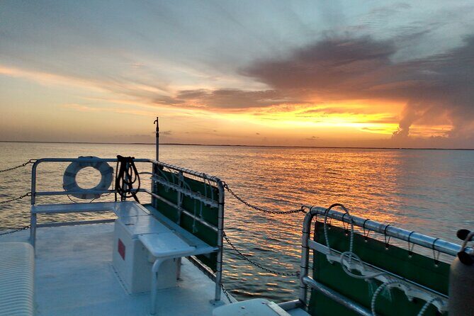 1.5 Hour Bay Side Key Largo Sunset Cruise on a Spacious Catamaran - An In-Depth Look at the Key Largo Sunset Cruise