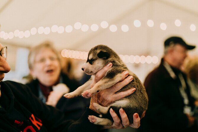 1.5-Hour Beer and Puppies Guided Experience in Fairbanks - A Cozy Encounter with Puppies and Local Brews in Fairbanks: The 1.5-Hour Beer and Puppies Guided Experience