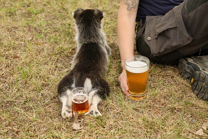 1.5-Hour Beer and Puppies Guided Experience in Fairbanks - Key Points