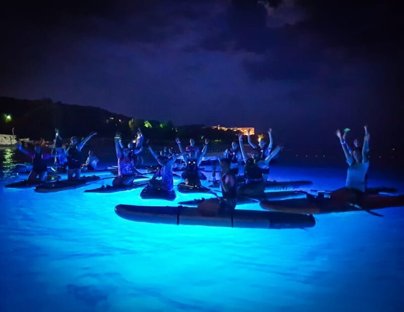 1.5-hour Clear Kayak Rental: Discover the Underwater World - 1.5-hour Clear Kayak Rental: Discover the Underwater World — A Practical Guide