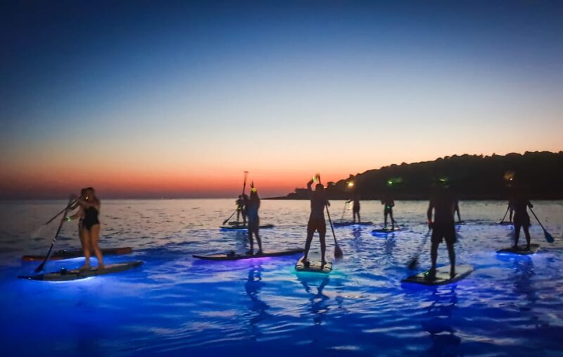 1.5-hour Clear Kayak Rental: Discover the Underwater World - The Sum Up: Who Should Consider This Adventure?