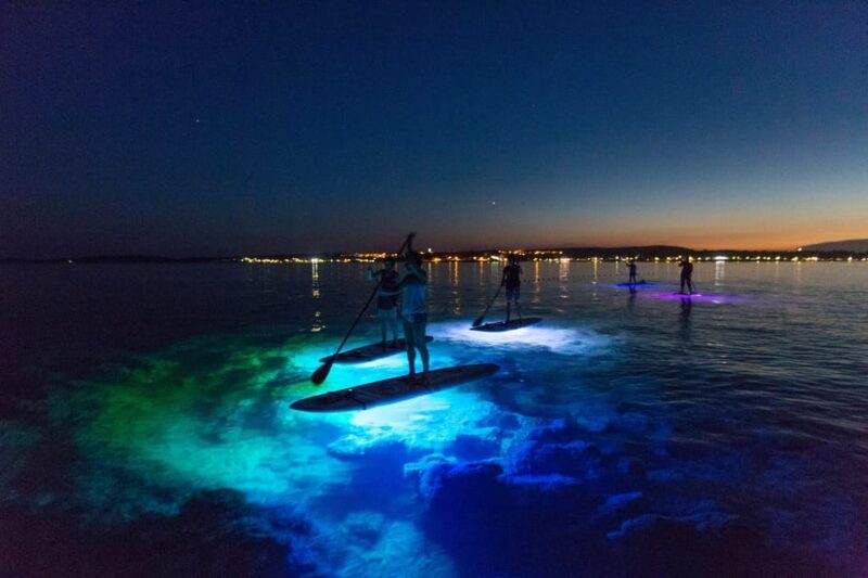 1.5-hour Clear Kayak Rental: Discover the Underwater World - FAQ