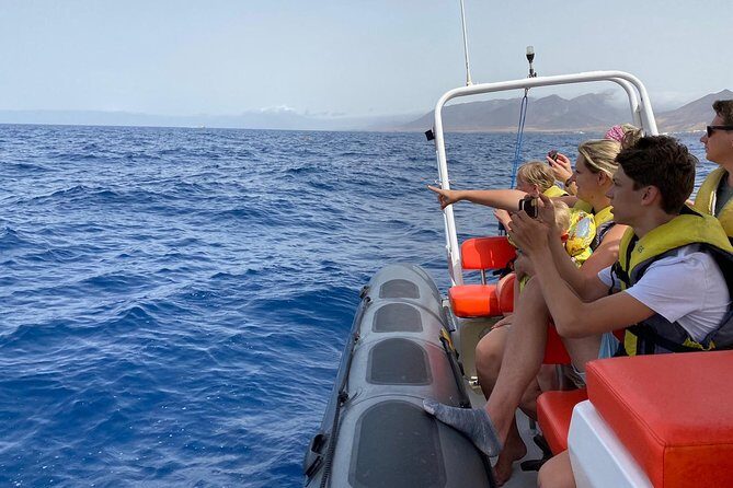 1.5-Hour Dolphin and Whale Watching Tour - Practical Aspects: Logistics, Group Size, and Prices