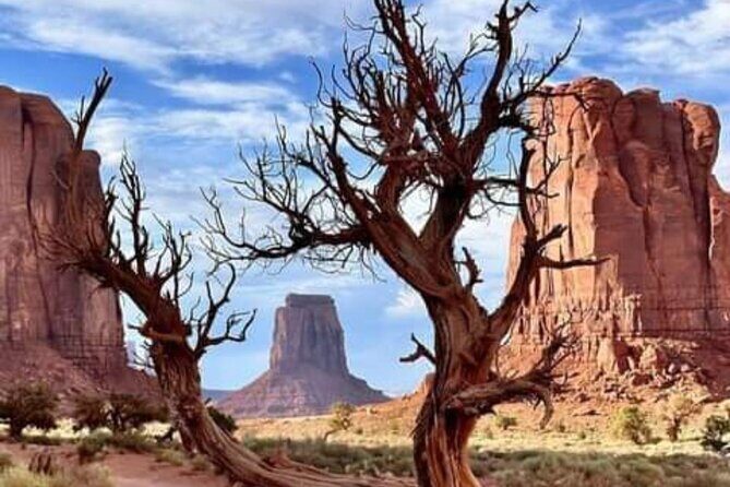 1.5 Hour Jeep Tour in Monument Valley - The Sum Up: Why This Tour Might Be Your Best Bet