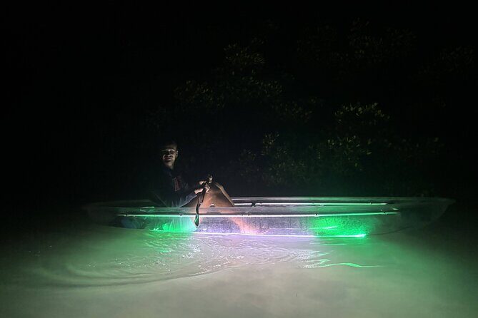 1.5-Hour LED Illuminated Clear Kayak Night Adventure Tour - Key Points