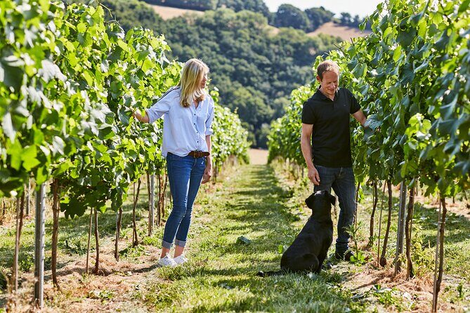 1.5-Hour Swanaford Vineyard Tour And Tasting Experience - Discover Swanaford Vineyard: A Genuine Taste of Devon’s Wine Scene