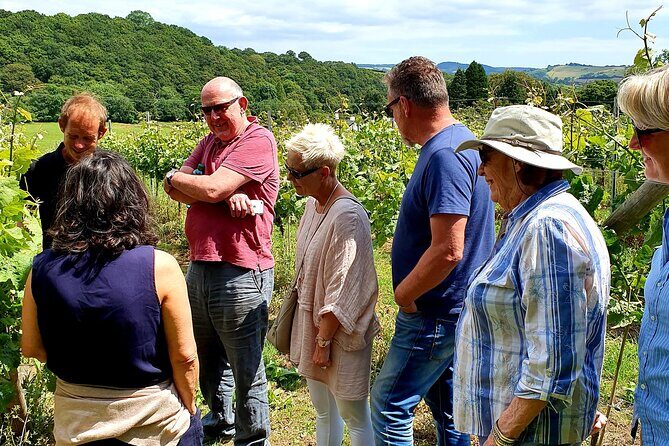 1.5-Hour Swanaford Vineyard Tour And Tasting Experience - Key Points
