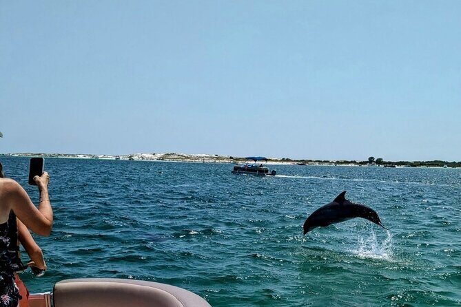 1.5 Hour Tiki Boat Harbor and Dolphin Cruise Destin FL - Who Should Consider This Tour?