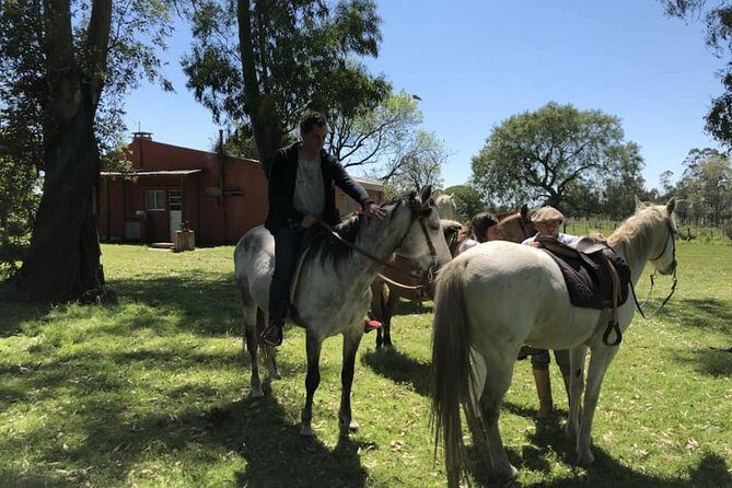 1.5 hr Horseback Riding Montevideo, Uruguay, with transportation - Who Should Consider This Tour?