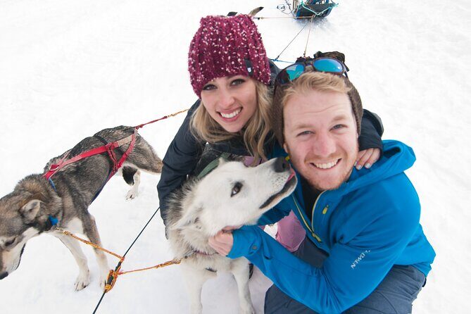 1.5 Hr - Winter Dog Sledding in Knik, Alaska - The End of the Tour
