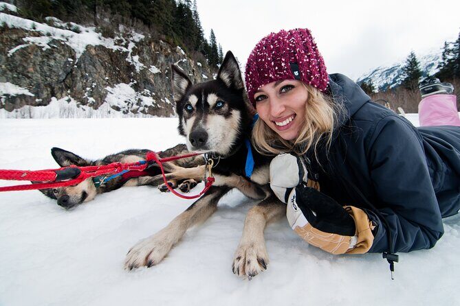 1.5 Hr - Winter Dog Sledding in Knik, Alaska - Why It Stands Out