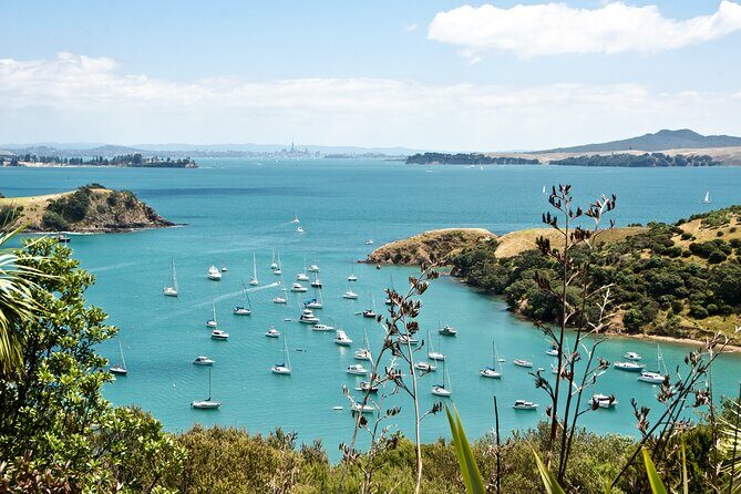 1.5h Waiheke Guided Scenic Tour in our Electric Van - Who Should Consider This Tour?
