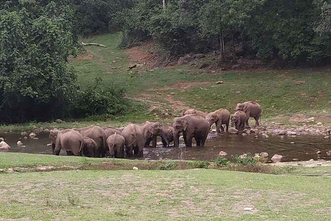 1 Day Activity Adventure Trekking Kerala - Key Points