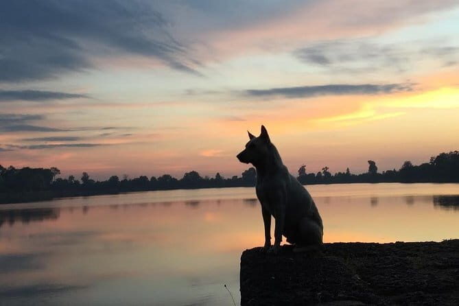 1 Day Angkor Wat with Sunrise Tour - Whats Included and Whats Not