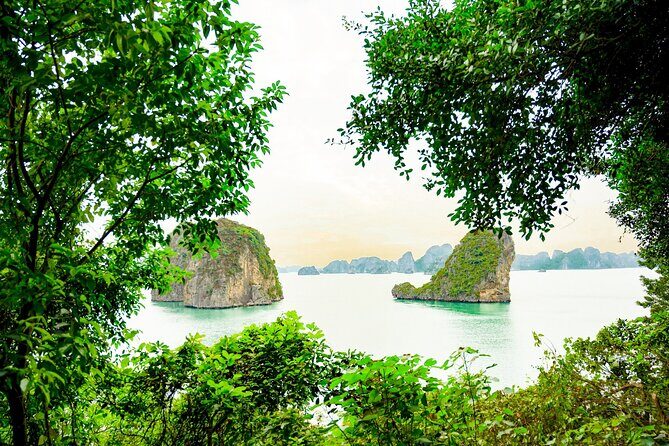 1-Day Bai Tu Long Bay Cruise: Pristine, Fun & Away fr the Crowds - FAQ