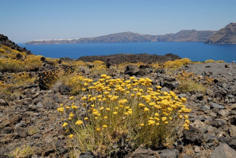 1-Day Boat Trip: Santorini Volcano, Thirassia & Oia Sunset - FAQ