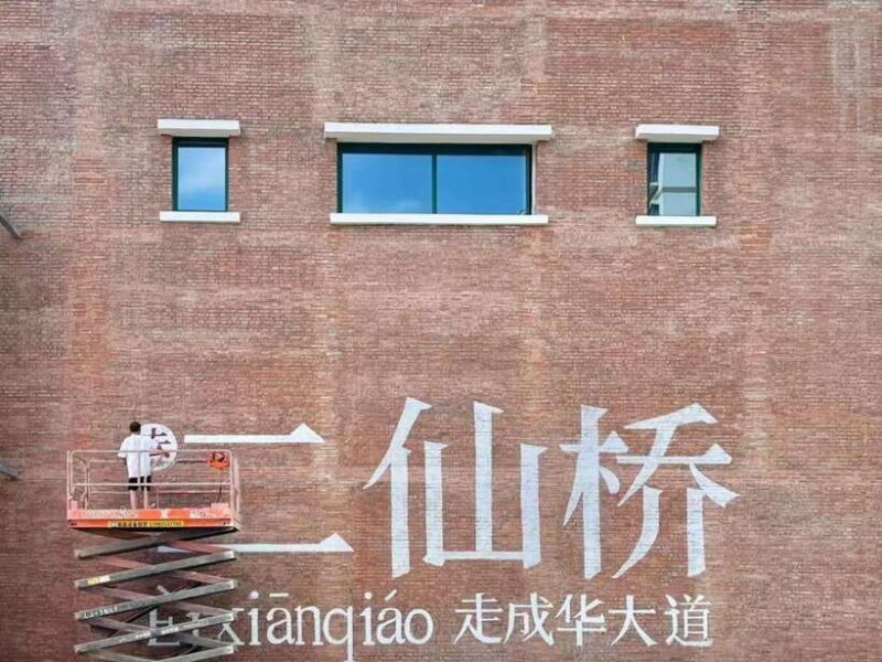 1-Day City Walk in Chengdu - Who Should Consider This Tour?