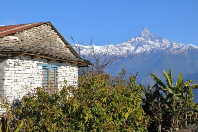 1 day Dhampus Trek - The detailed experience: what to expect on this trek