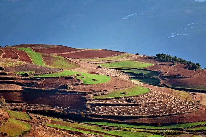1-Day Dongchuan Red Land Photography Private Tour from Kunming - Key Points