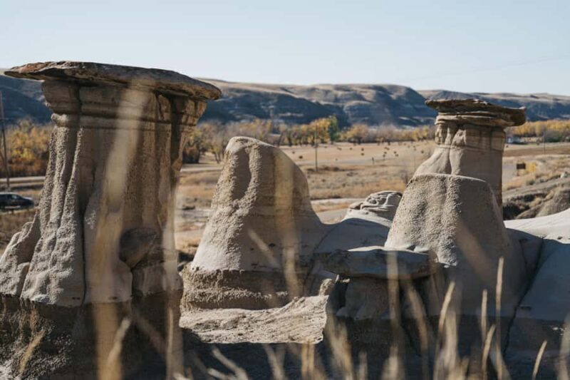 1 Day Drumheller Tour: Calgary to Hoodoos Dinosaurs Badlands - What makes this tour worth your while?