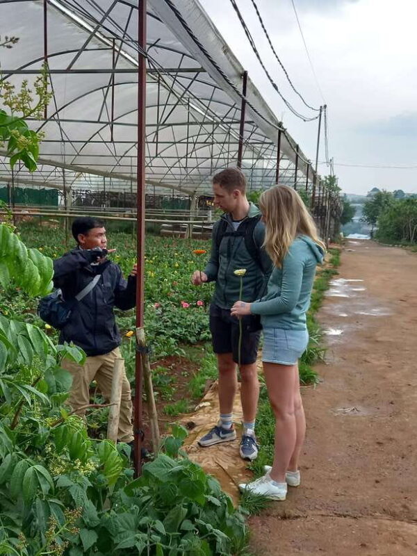 1 Day Easy Rider Tour in DalatVillages, Farms & Waterfalls - Key Points