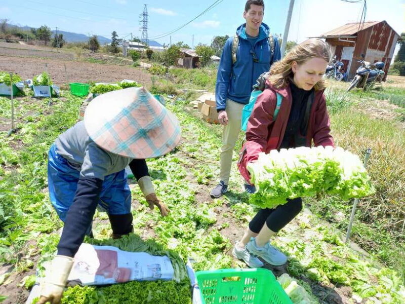 1 Day Easy Rider Tour in DalatVillages, Farms & Waterfalls - FAQ