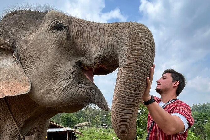 1 Day Eco Elephant Excursion - Authentic Encounters and Conservation
