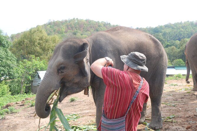 1 Day Eco Elephant Excursion - FAQ
