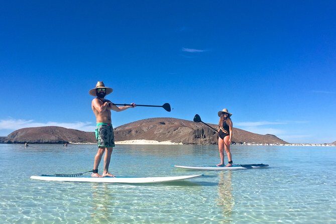 1 Day Espiritu Santo Island Wonders, Sea Lions and Paddleboard Adventure - Discovering the Wonders of Espiritu Santo Island: A Full-Day Marine Adventure from La Paz