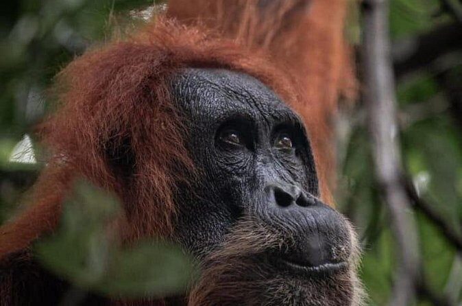 1 Day Ethical Jungle Trekking - The Bottom Line