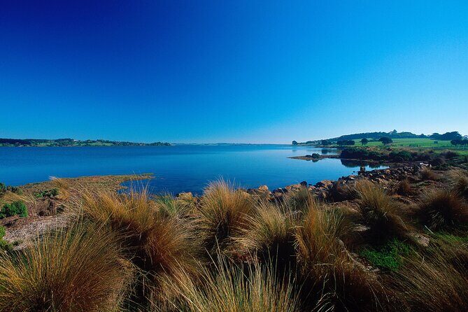 1 Day Exclusively Private Tour Of Phillip Island & The Penguin Parade - FAQ