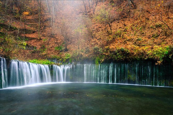 1 Day Family Fun at Fuji with Private Car - Who Should Consider This Tour?