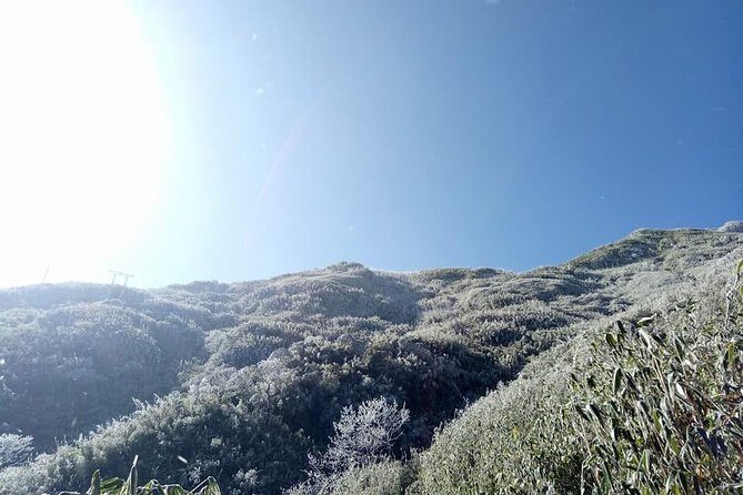 1 day Fansipan Trekking - The Experience: An Honest Look at the Fansipan Trek