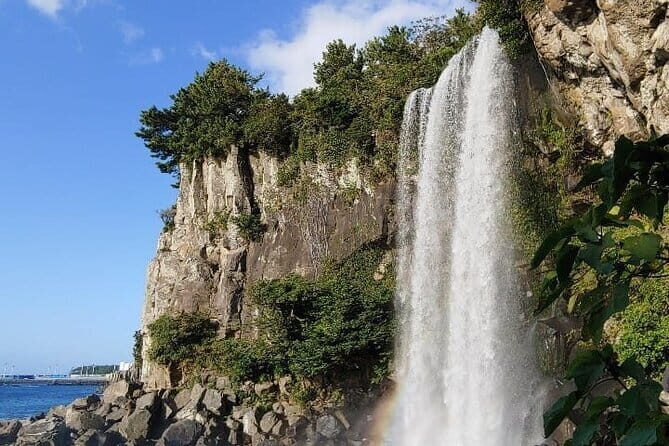 1 Day Free schedule Tour a lot of experince driver in jeju island - An In-Depth Look at What You Can Expect