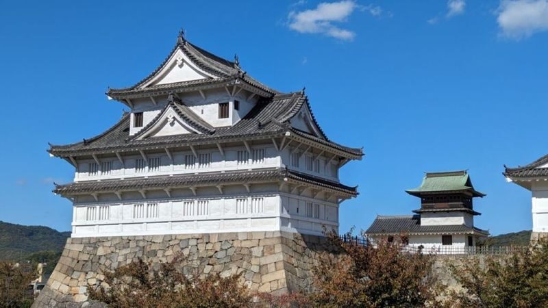 1-Day Fukuyama Tour: Castle, Tomonoura Port Town, and Sensui-jima - Who will get the most from this day